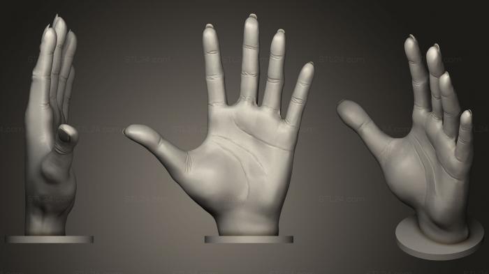 Anatomy of skeletons and skulls (Womans Hand, ANTM_1149) 3D models for cnc